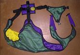 Purple Body/Kelly Green Male Dog Diaper and Female Dog Diaper